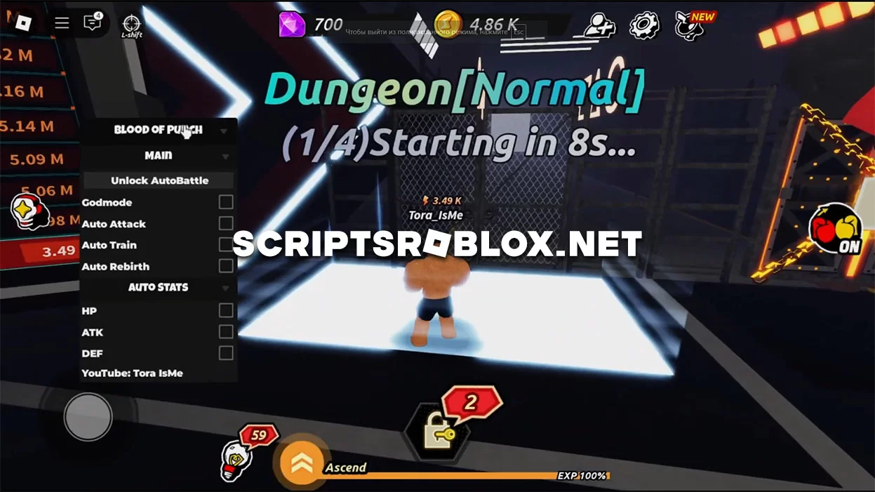 Blood of Punch Script: Auto Attack, Auto Stats & More