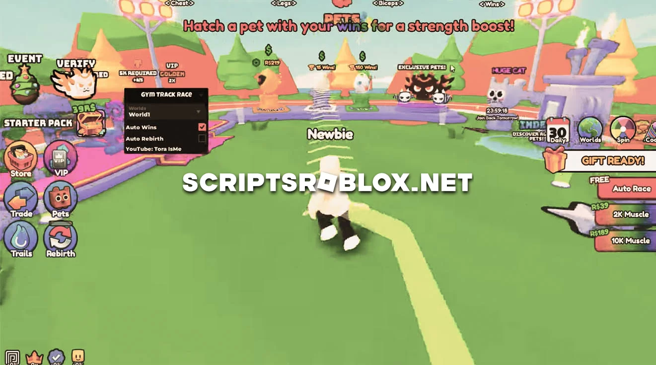 Gym Track Race Script: Auto Wins and Auto Rebirth